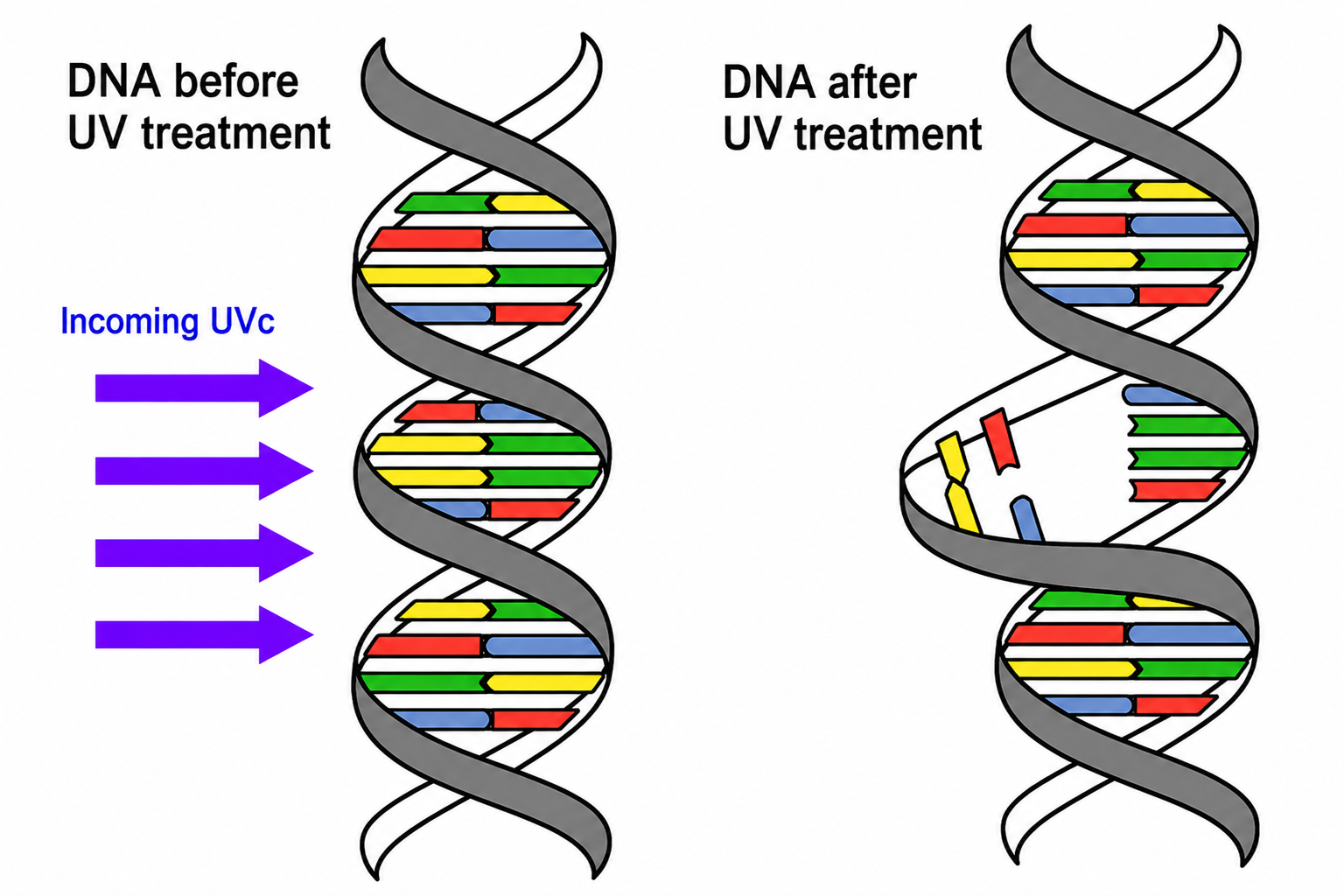 How does Ultraviolet (U.V.) Water Treatment work?